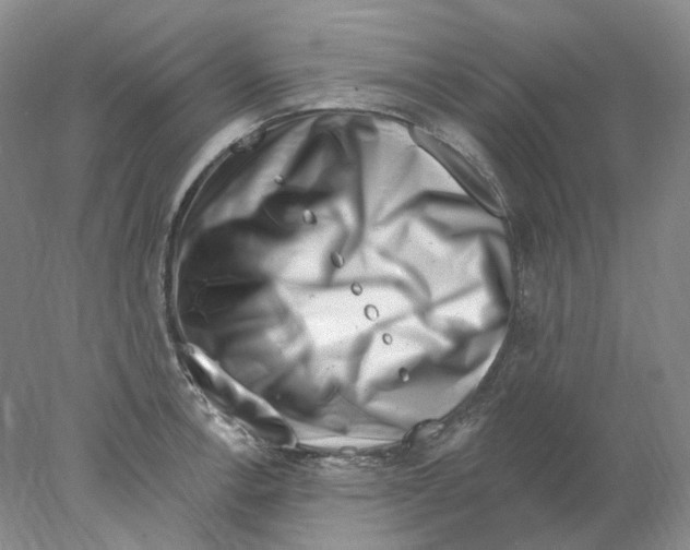 X0000077981138200611251339