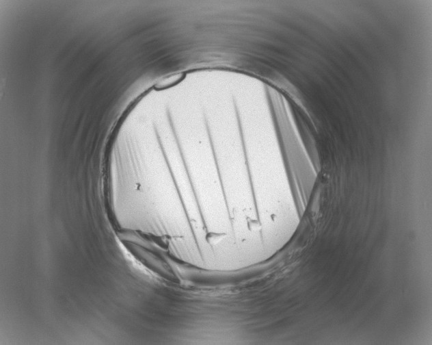 X0000077981143200611251339