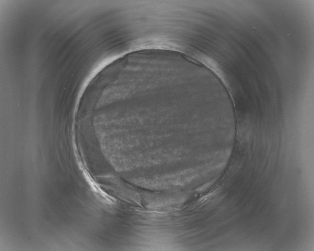 X0000077981144200611251339