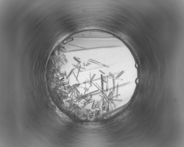 X0000077981145200611251339