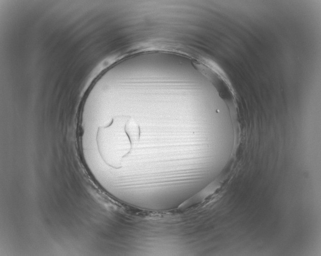 X0000077981146200611251339