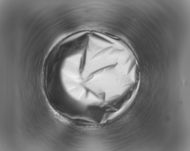 X0000077981147200611251339
