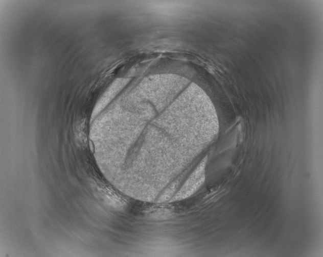 X0000077981156200611251338
