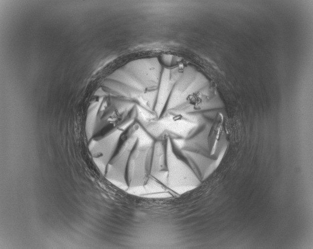 X0000077981158200611251338