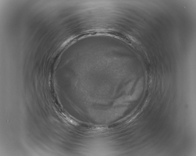X0000077981161200611251338