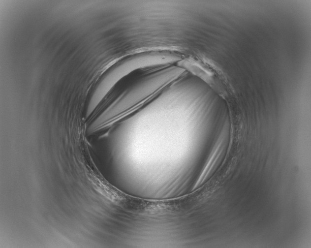 X0000077981169200611251338