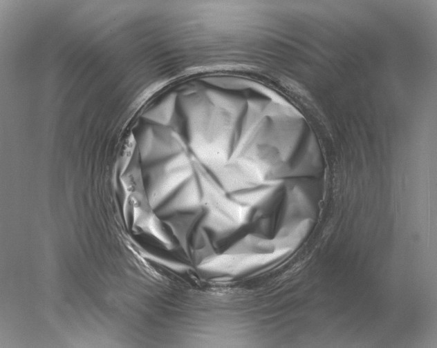 X0000077981177200611251338