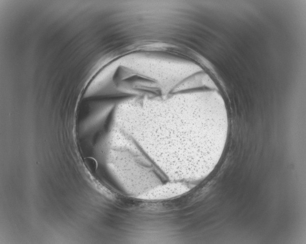 X0000077981194200611251337