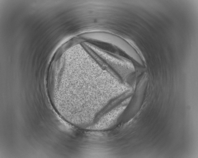 X0000077981197200611251337