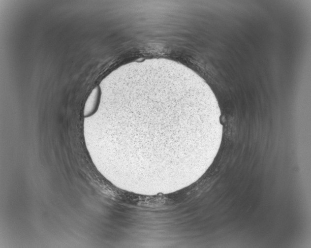 X0000077981201200611251336