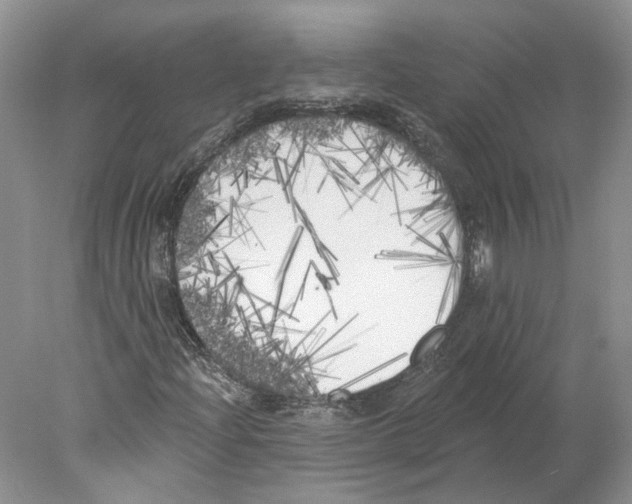 X0000077981204200611251336