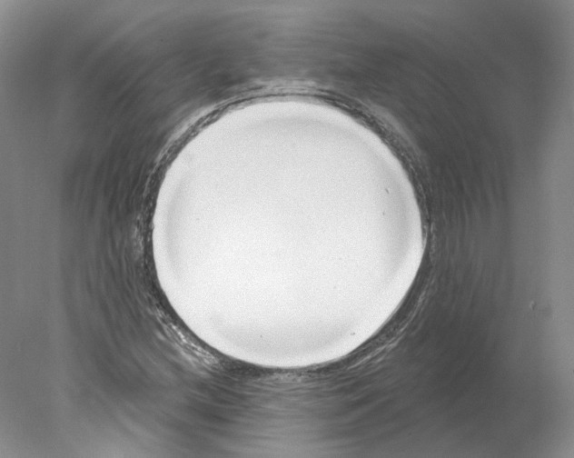 X0000077981212200611251337