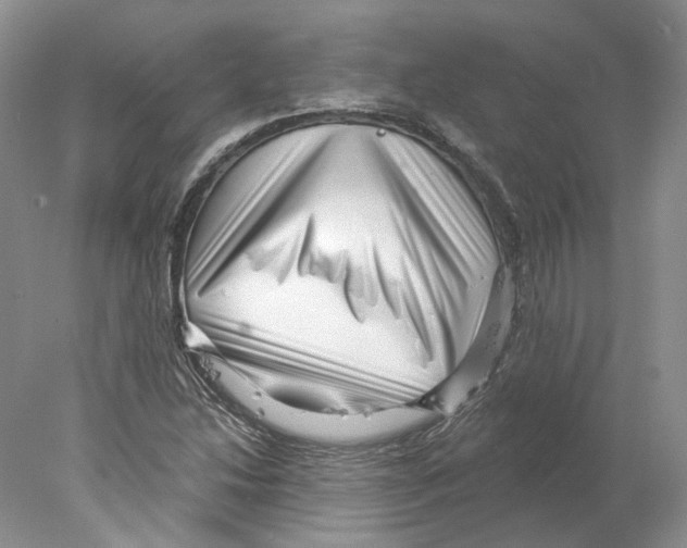 X0000077981214200611251337