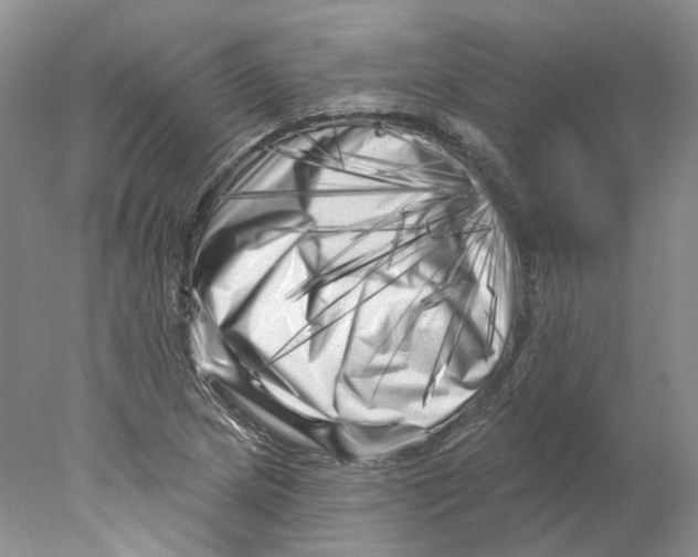 X0000077981217200611251337