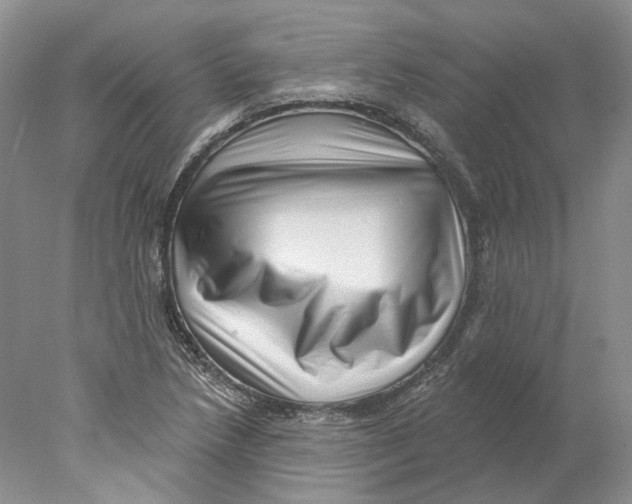 X0000077981218200611251337