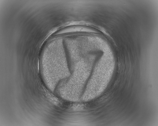 X0000077981221200611251337