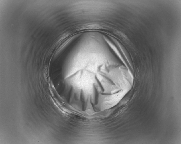 X0000077981225200611251337