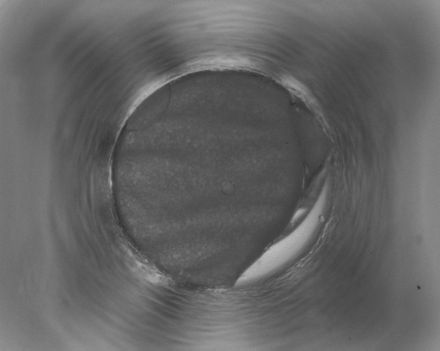 X0000077981226200611251337