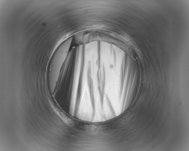 X0000077981234200611251337