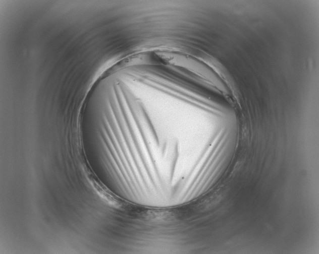 X0000077981242200611251337
