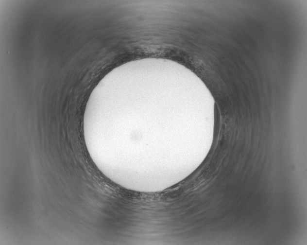 X0000077981249200611251336