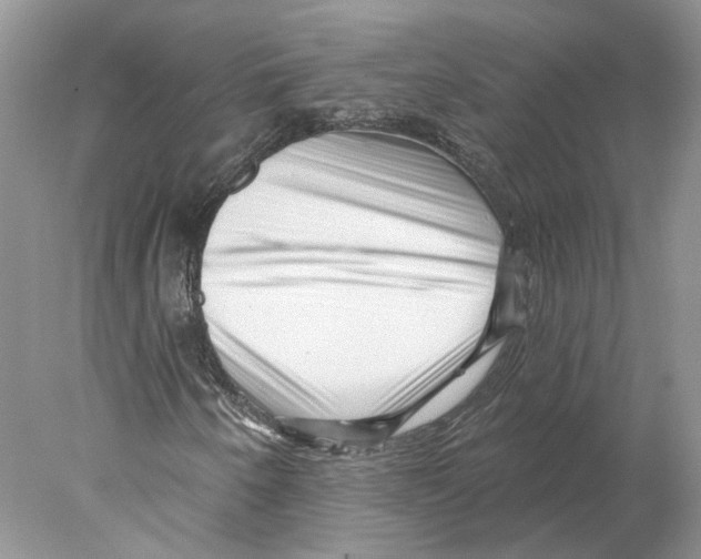 X0000077981250200611251336