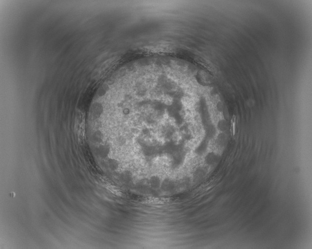 X0000077981251200611251336