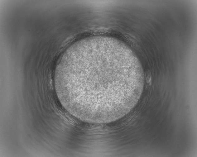 X0000077981252200611251336