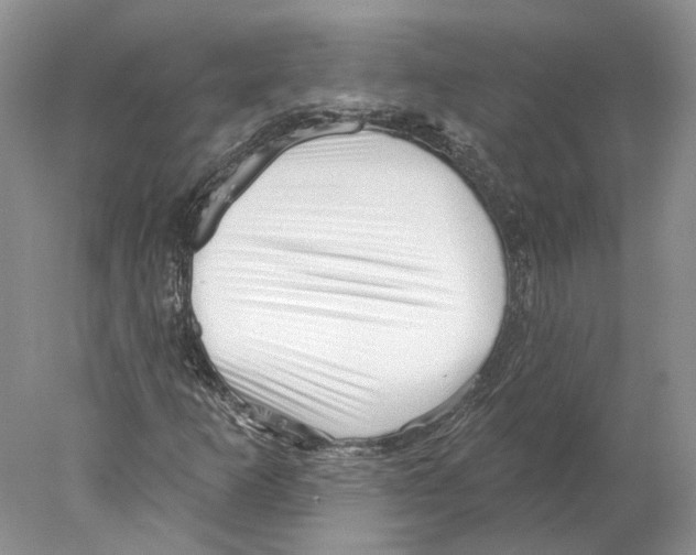 X0000077981253200611251336