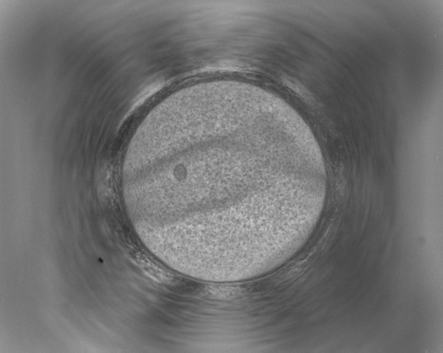 X0000077981258200611251336