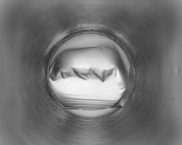 X0000077981261200611251336