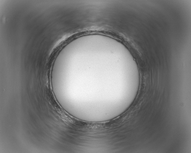 X0000077981262200611251336