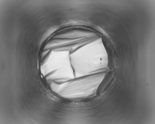 X0000077981269200611251336