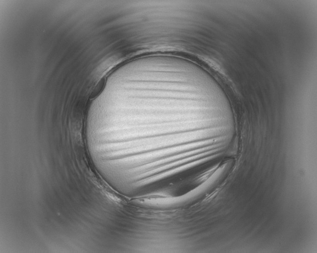 X0000077981273200611251336