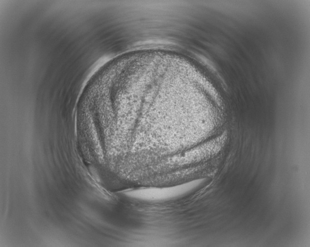X0000077981275200611251336