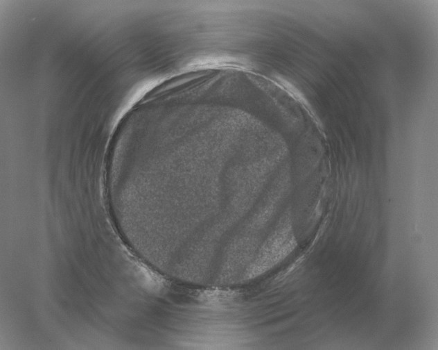 X0000077981277200611251336