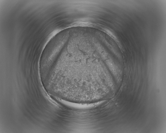 X0000077981283200611251336