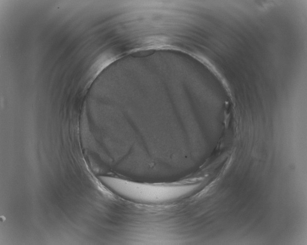 X0000077981289200611251336