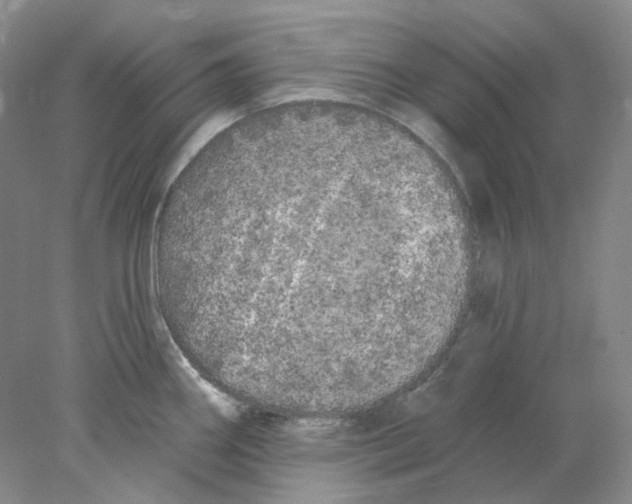 X0000077981290200611251336
