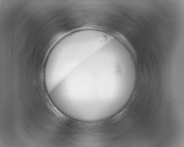 X0000077981292200611251336