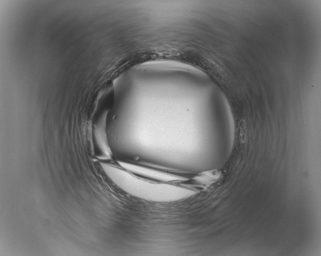 X0000077981298200611251335