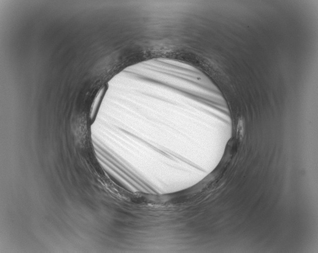 X0000077981299200611251335