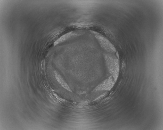 X0000077981300200611251335