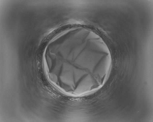 X0000077981303200611251335