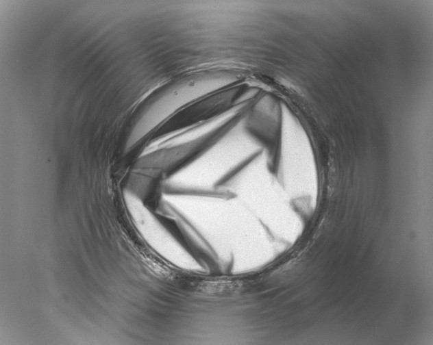 X0000077981305200611251335