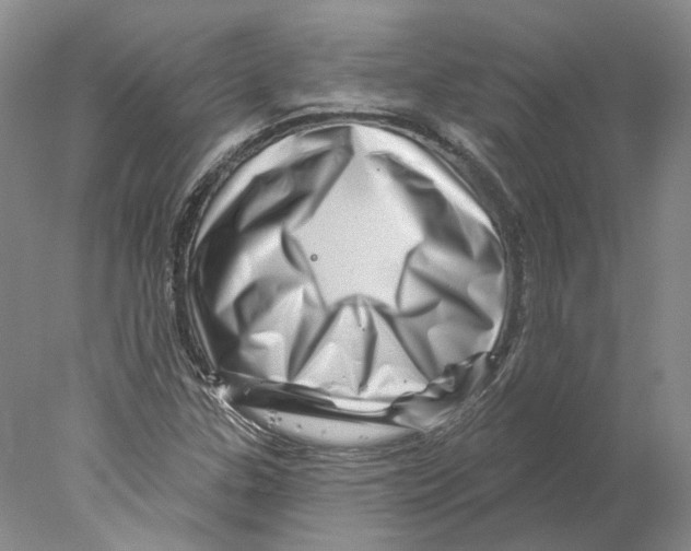 X0000077981307200611251335