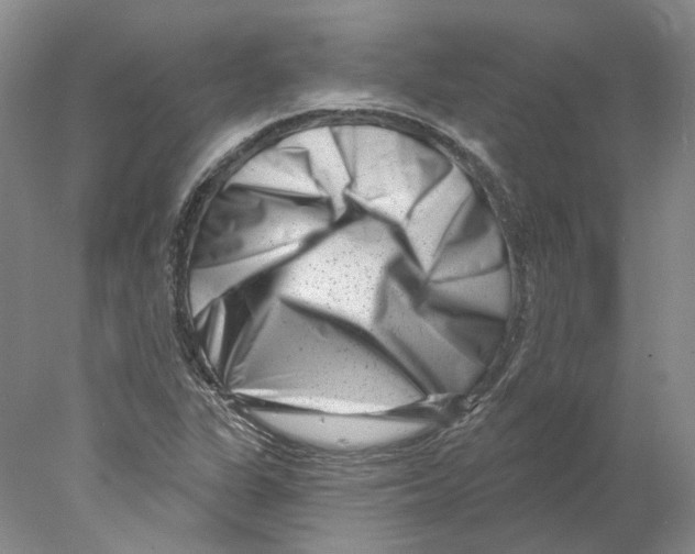 X0000077981311200611251335