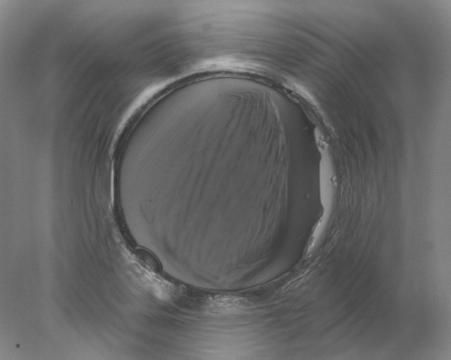X0000077981323200611251335
