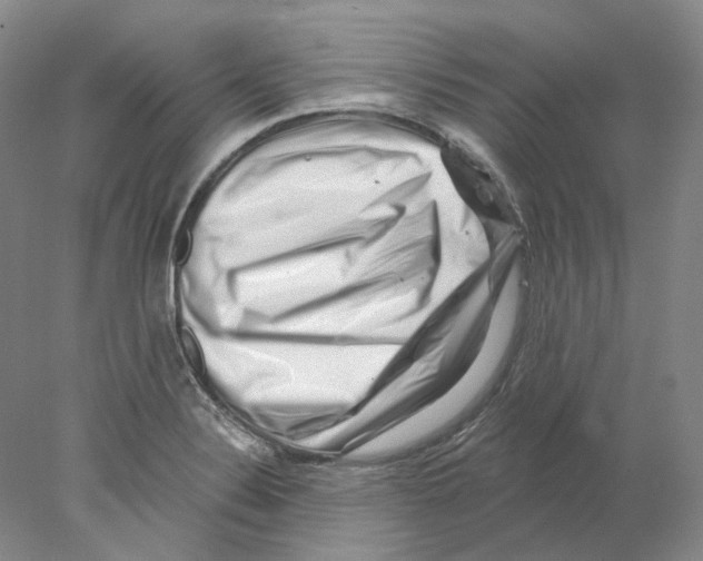 X0000077981324200611251335