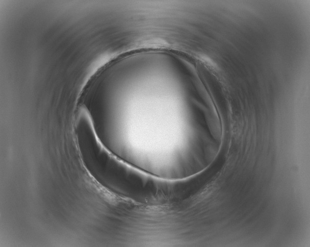 X0000077981326200611251335